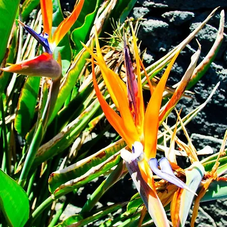 Isla De Lobos Oceanview * 普拉亚布兰卡